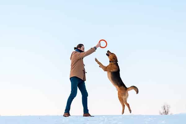 Man playing with dog